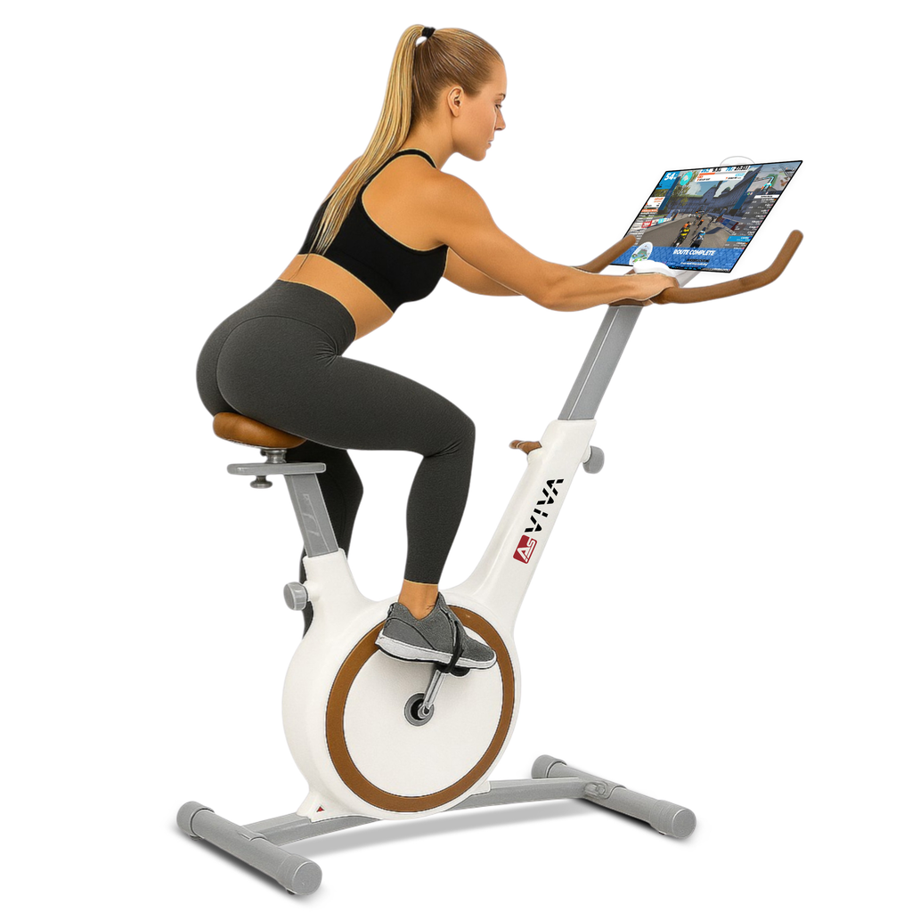 Ergometro Speedbike H12