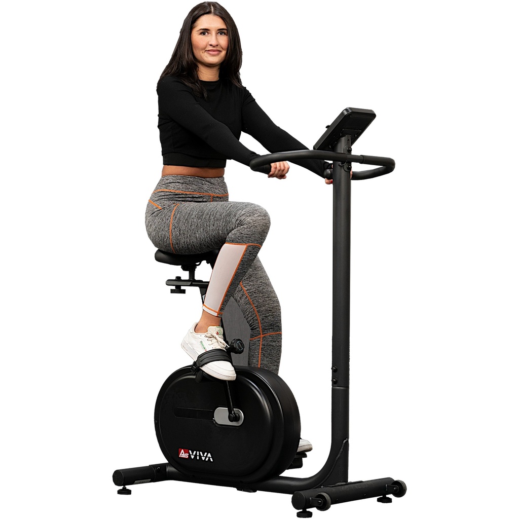 Ergometr Ride H24